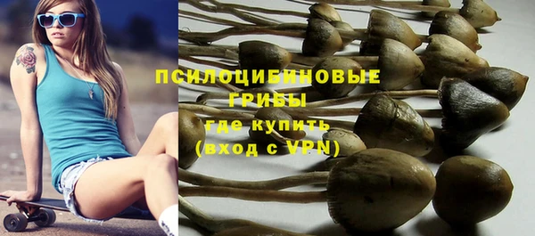 гидропоника Алексин