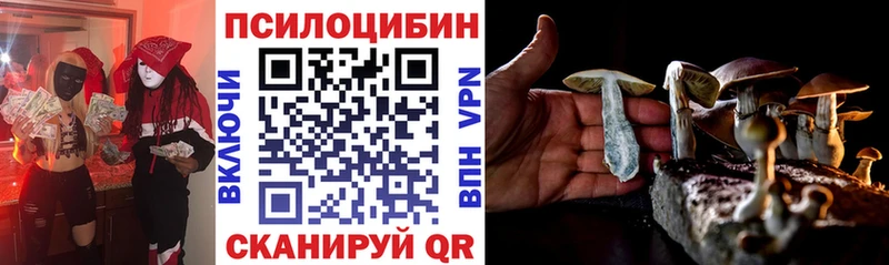 Псилоцибиновые грибы мицелий МЕГА ONION Тарко-Сале